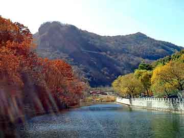 澳门天天开奖免费资料，水洗高岭土价格